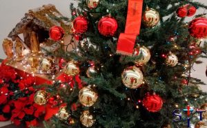 Lee más sobre el artículo Horarios de las celebraciones de Navidad